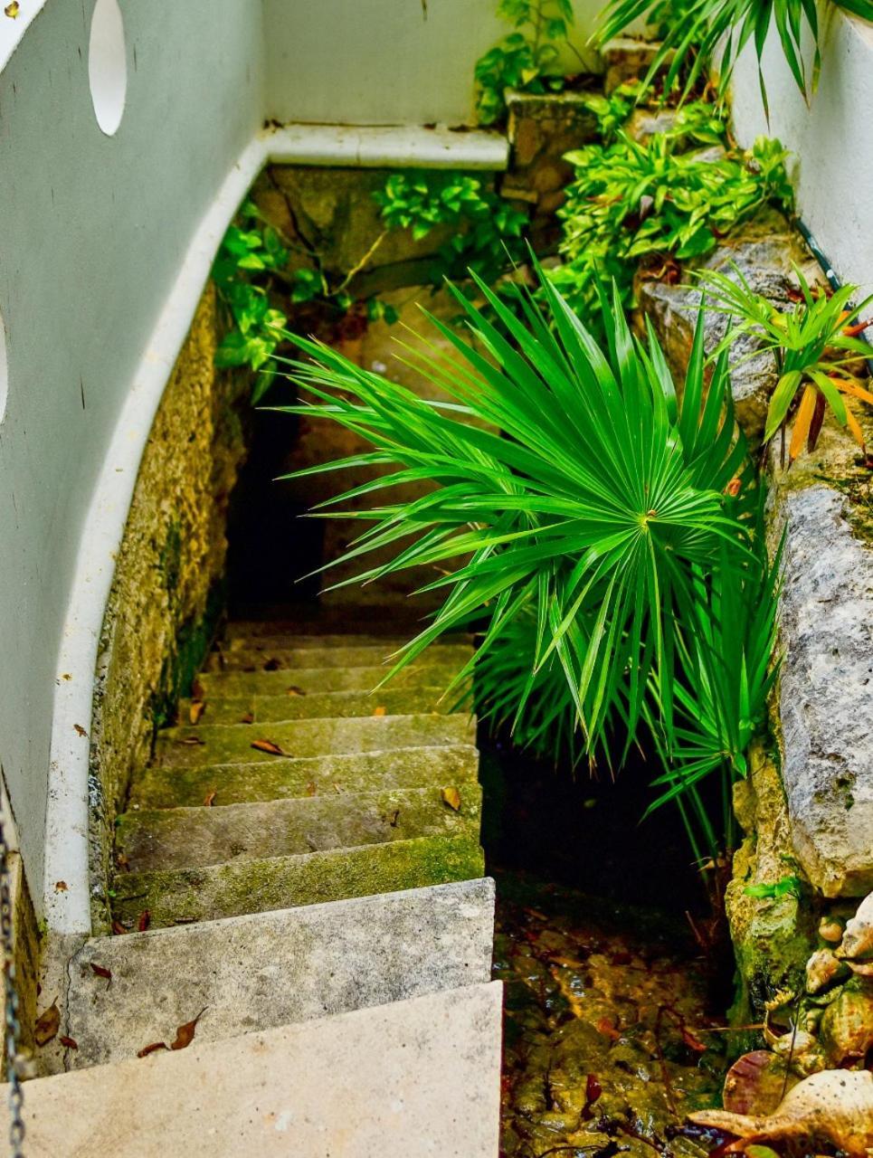 Hotel El Tropical Playa Del Carmen Zewnętrze zdjęcie